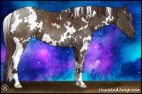 Horse Color:White Spotted Liver Chestnut 