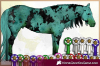 Horse Color:ERROR: UNKNOWN ANOMALY