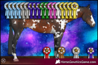 Horse Color:White Spotted Brown 