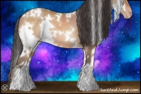 Horse Color:White Spotted Sable Champagne Roan 