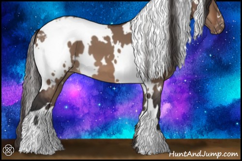 Horse Color:White Spotted Bay Dun Varnish