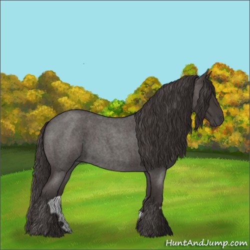 Horse Color:Smoky Blue Roan 