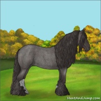 Horse Color:Smoky Blue Roan 