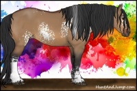 Horse Color:White Spotted Bay Dun 