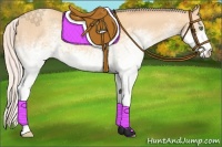 Horse Color:White Spotted Silver Amber Champagne Rabicano 
