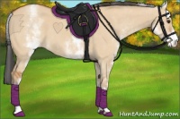 Horse Color:White Spotted Bay Dun 