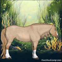 Horse Color:Red Dun Roan Splash Frame Rabicano 