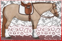 Horse Color:Red Dun Roan Splash Frame Rabicano 