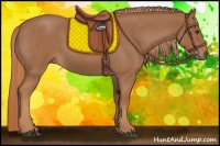 Horse Color:Red Roan 