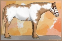 Horse Color:Chestnut Frame