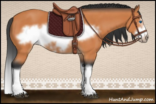 Horse Color:Bay Splash Frame