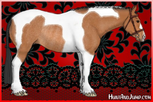Horse Color:Bay Tobiano Rabicano 