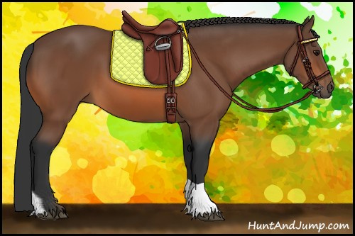 Horse Color:Bay Tobiano 