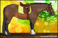 Horse Color:Bay Tobiano 