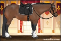 Horse Color:Bay Tobiano