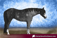 Horse Color:Gray Smoky Black 