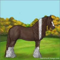 Horse Color:White Spotted Liver Chestnut Tobiano 