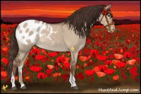 Horse Color:Liver Red Dun Roan Tobiano Blanket 