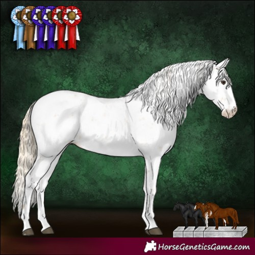 Horse Color:Chestnut Sabino Blanket