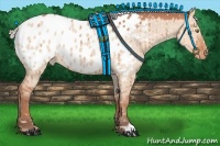 Horse Color:Silver Bay Dun Mushroom Appaloosa Brindle