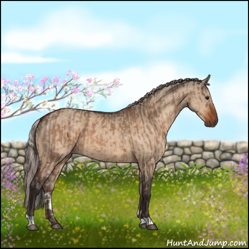 Horse Color:Brown Dun  and Silver Brown Dun 