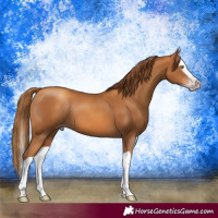 Horse Color:Gray Gold Champagne Splash