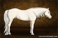 Horse Color:Silver Amber Cream Champagne Pearl