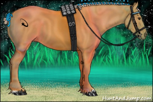 Horse Color:Palomino 
