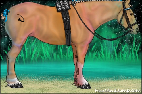 Horse Color:Palomino Tobiano 