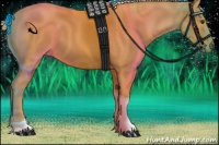 Horse Color:Palomino Tobiano 