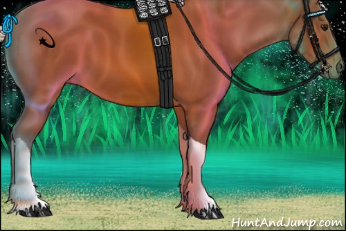Horse Color:Silver Bay Tobiano