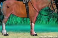 Horse Color:Silver Bay Tobiano 