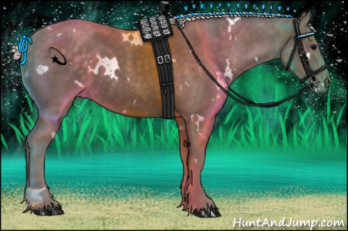 Horse Color:White Spotted Silver Black 