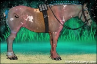 Horse Color:White Spotted Silver Black 