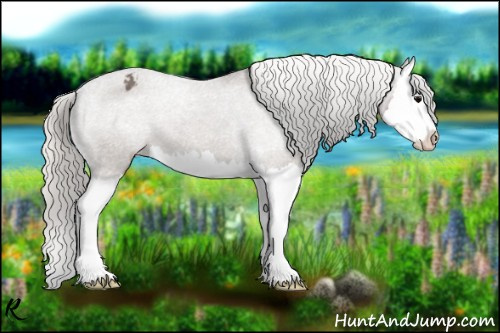 Horse Color:Silver Black Splash Varnish 