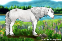 Horse Color:Silver Black Splash Varnish 