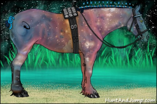 Horse Color:ERROR: UNKNOWN ANOMALY