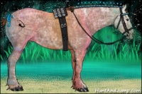 Horse Color:Chestnut Ice 