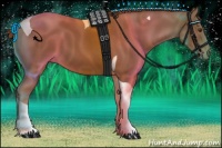 Horse Color:Chestnut Tobiano