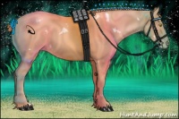Horse Color:White Spotted Gold Champagne