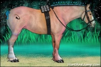 Horse Color:Bay Roan 