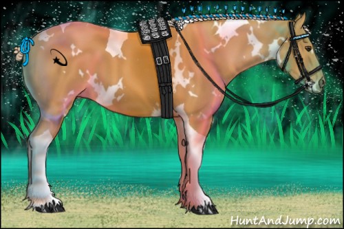 Horse Color:White Spotted Palomino Tobiano