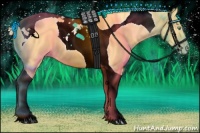 Horse Color:Gold Cream Champagne Tobiano 