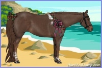 Horse Color:Liver Chestnut Tobiano Frame Rabicano 