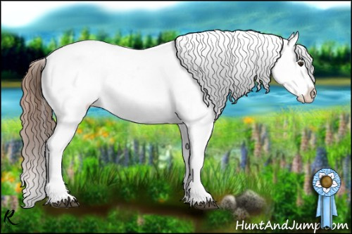 Horse Color:Chestnut Appaloosa 