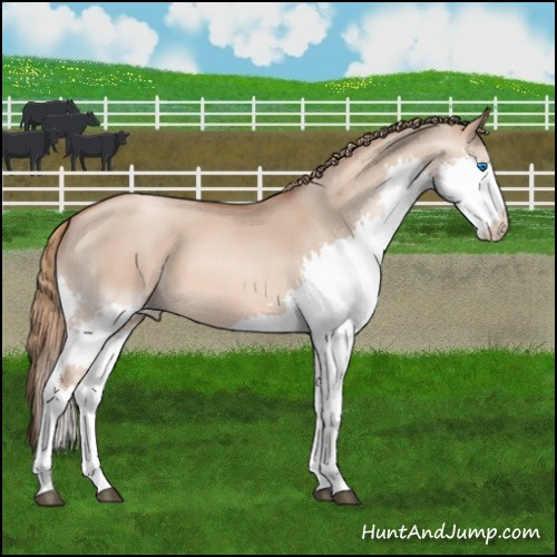 Horse Color:Liver Red Dun Pearl Splash 