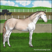 Horse Color:Liver Red Dun Pearl Splash 