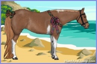 Horse Color:Chestnut Tobiano Rabicano 