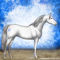 Horse Color:Gray Black Pearl