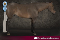Horse Color:Gray Silver Brown Dun